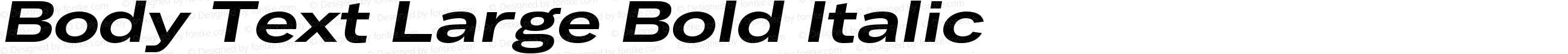 Body Text Large Bold Italic