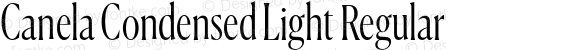 Canela Condensed Light Regular
