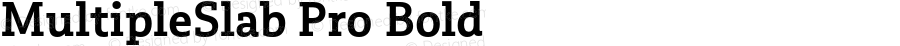 MultipleSlab Pro Bold Version 1.000;PS 001.000;hotconv 1.0.88;makeotf.lib2.5.64775
