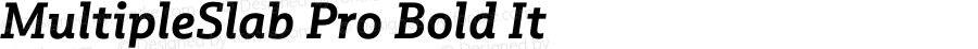 MultipleSlab Pro Bold It Version 1.000;PS 001.000;hotconv 1.0.88;makeotf.lib2.5.64775