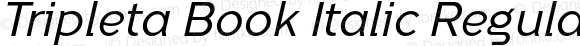 Tripleta Book Italic Regular