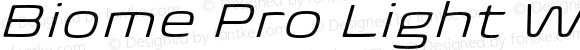 Biome Pro Light Wide Italic