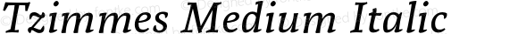 Tzimmes Medium Italic