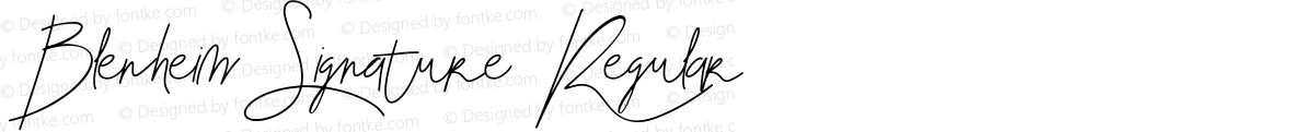 Blenheim Signature Regular