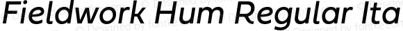 Fieldwork Hum Regular Italic