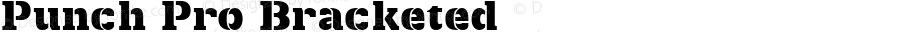 Punch Pro Bracketed 