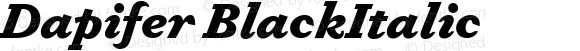 Dapifer Black Italic