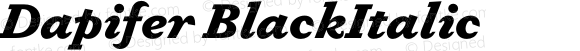 Dapifer Black Italic