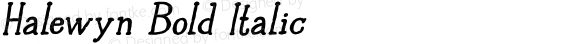 Halewyn Bold Italic