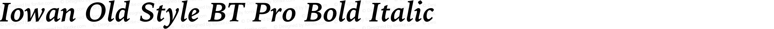 IowanOldSt BT Pro Bold Italic