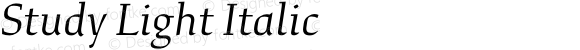 Study Light Italic