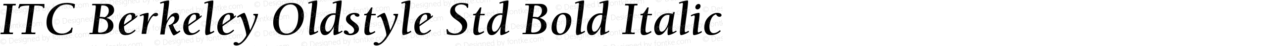 ITC Berkeley Oldstyle Std Bold Italic