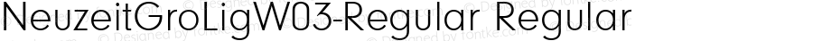 NeuzeitGroLigW03-Regular Regular Version 1.10