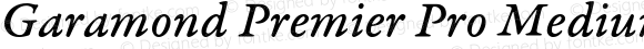 Garamond Premier Pro Medium Italic Caption