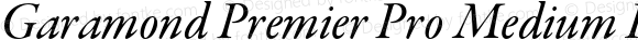 Garamond Premier Pro Medium Italic Subhead