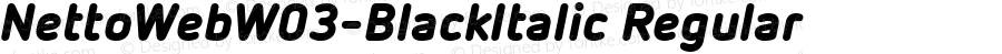 NettoWeb W03 BlackItalic