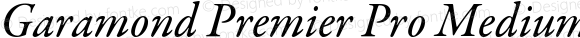 Garamond Premier Pro Medium Italic