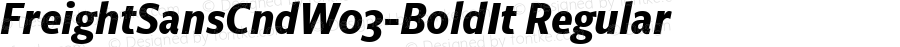 FreightSansCnd W03 Bold Italic