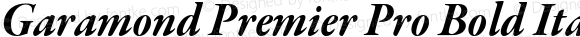 Garamond Premier Pro Bold Italic Subhead