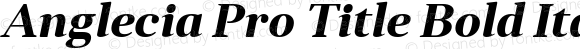 Anglecia Pro Title Bold Italic Version 001.000