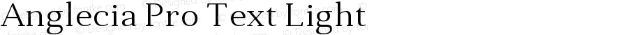 Anglecia Pro Text Light Version 001.000