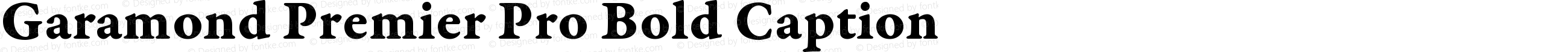 Garamond Premier Pro Bold Caption