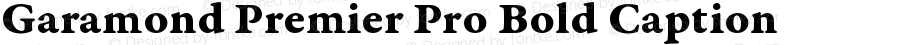 Garamond Premier Pro Bold Caption