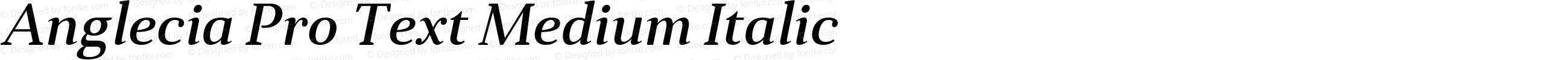 Anglecia Pro Text Medium Italic