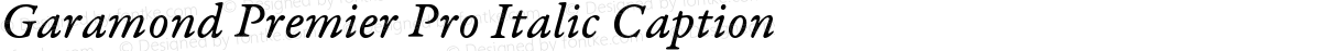 Garamond Premier Pro Italic Caption