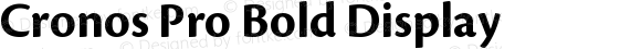 Cronos Pro Bold Display OTF 1.008;PS 001.000;Core 1.0.31;makeotf.lib1.4.1585