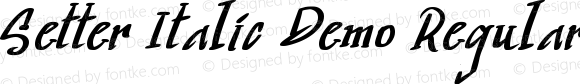 Setter Italic Demo Regular