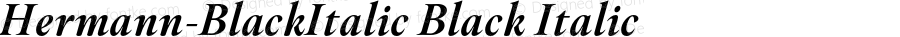 Hermann-BlackItalic