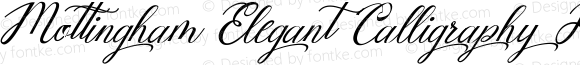 Mottingham Elegant Calligraphy Regular