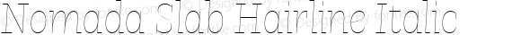 Nomada Slab Hairline Italic