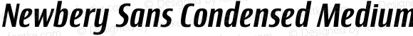 Newbery Sans Condensed Medium Italic