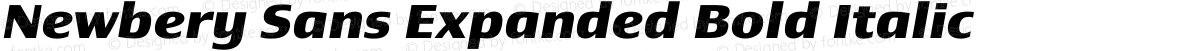 Newbery Sans Expanded Bold Italic