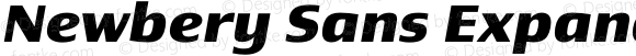Newbery Sans Expanded Bold Italic