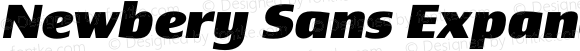 Newbery Sans Expanded ExtraBold Italic