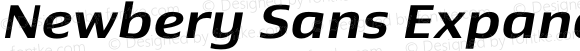 Newbery Sans Expanded Medium Italic