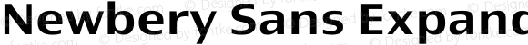 Newbery Sans Expanded Medium
