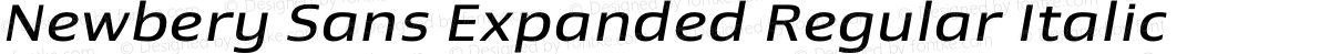 Newbery Sans Expanded Regular Italic