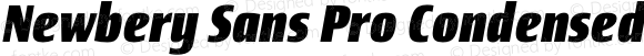 Newbery Sans Pro Condensed ExtraBold Italic