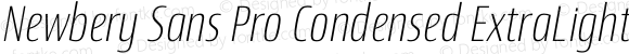 Newbery Sans Pro Condensed ExtraLight Italic