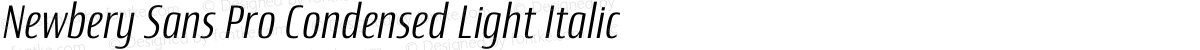 Newbery Sans Pro Condensed Light Italic