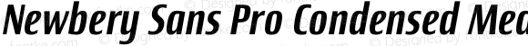 Newbery Sans Pro Condensed Medium Italic