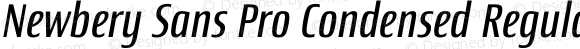 Newbery Sans Pro Condensed Regular Italic