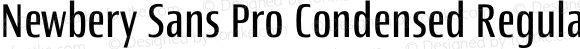 Newbery Sans Pro Condensed Regular
