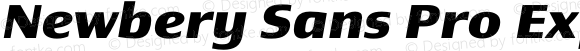 Newbery Sans Pro Expanded Bold Italic
