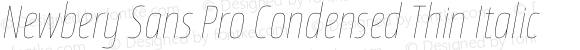 Newbery Sans Pro Condensed Thin Italic