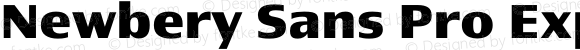Newbery Sans Pro Expanded Bold
